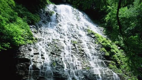 高端高精度绿色